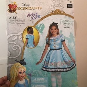 Disney “Ally” or Alice in Wonderland Costume